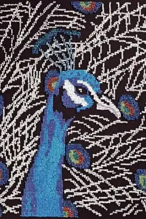 Kit di punti da ricamo - Pavone - Duftin Nuova Collezione