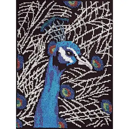 Kit di punti da ricamo - Pavone - Duftin Nuova Collezione