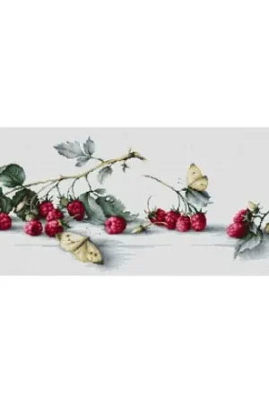 Must-Have kit ricamo a punto croce - Lamponi e farfalle - Luca-S