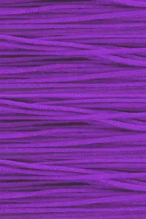 Acquista Ora Fil de jade - Fil nylon tressé 0.5 mm - Violet x3m