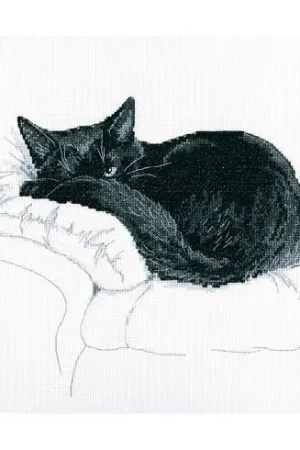 Offerta kit ricamo a punto croce - Tra i gatto neri - RTO