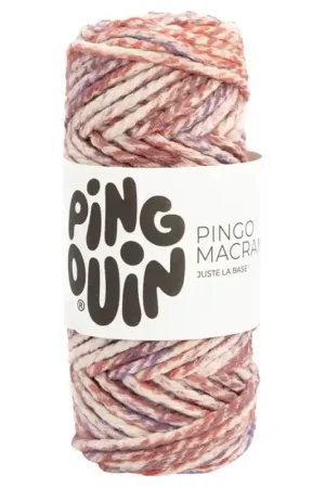 Reso Gratuito Pingouin Pingo Macramé Multicolor