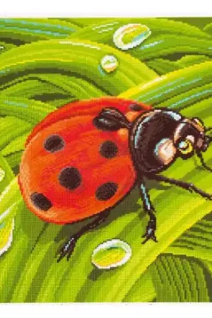Sconto kit ricamo a punto croce - Coccinella - Collection d'Art