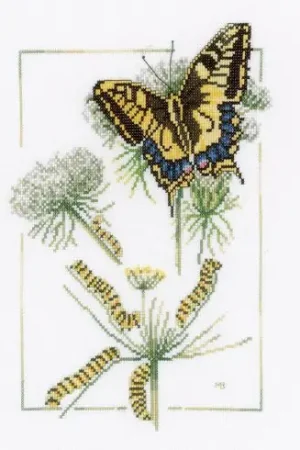 Offerta Speciale kit ricamo a punto croce - Da bruco a farfalla - Etamine - Lanarte
