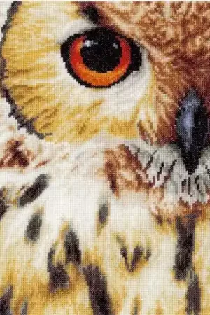 kit ricamo a punto croce - Civetta - Lanarte Prezzo Di Fabbrica