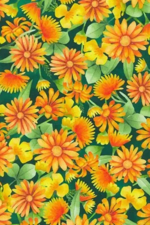 Economico Tessuto in Cotone - Orange Flowers. Honey Flower - Robert Kaufman