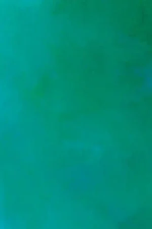 Esclusivo Tessuto in Cotone - Sky - Robert Kaufman