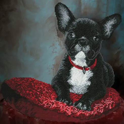 kit ricamo a punto croce - Bulldog francese - Nova Sloboda Spedizione Espresso