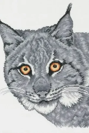 kit ricamo a punto croce - Sguardo acuto - Permin Spedizione Espresso