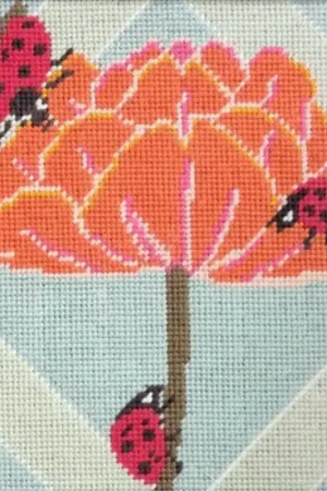 Kit Tappezzeria - Ladybirds - Anchor Offerta