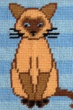 Soddisfatti O Rimborsati Kit Tappezzeria - Siamese Koko - Anchor