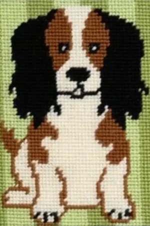 Kit Tappezzeria - Spaniel Molly - Anchor Ultime Pezzi