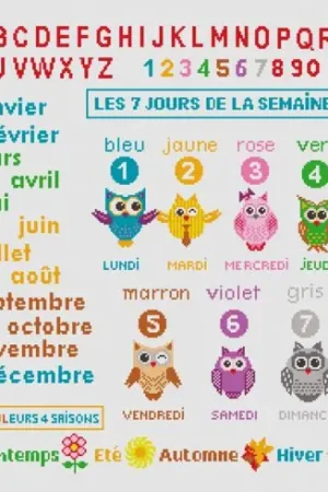 Spedizione Espresso kit ricamo a punto croce - ABC imparare ogni giorno - Princesse