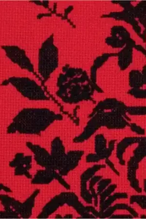 kit ricamo a punto croce - Velo segreto siluette - Anchor Occasione Imperdibile