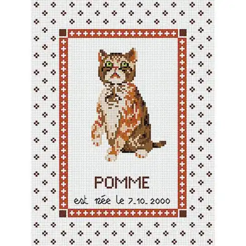 kit ricamo a punto croce - Nascita gatto - Rainbow Quantità Limitata