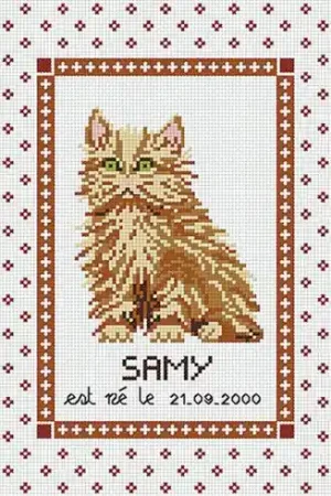 Promozione kit ricamo a punto croce - Nascita gatto angora - Rainbow