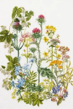 Non Perdere kit ricamo a punto croce - Erbe selvagge - Thea Gouverneur