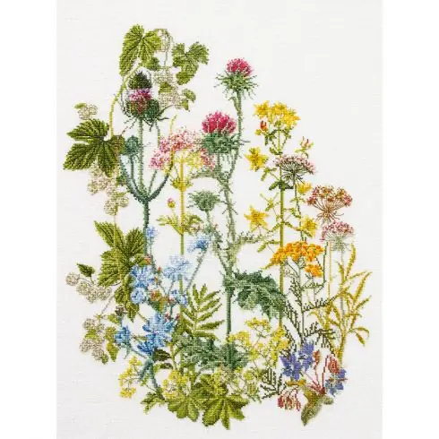 Non Perdere kit ricamo a punto croce - Erbe selvagge - Thea Gouverneur