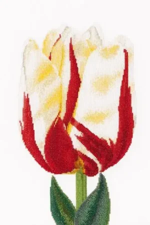Scelto Dai Clienti kit ricamo a punto croce - Tulipano Flamed Single - Thea Gouverneur