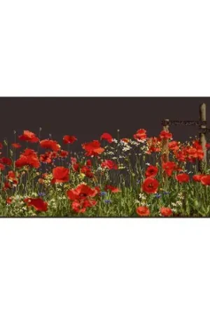 Ultima Occasione kit ricamo a punto croce - Papaveri - Aida nera - Thea Gouverneur