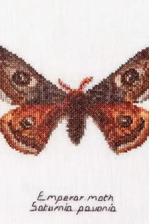 kit ricamo a punto croce - Papillon empereur - Thea Gouverneur Ultimissimo Modello
