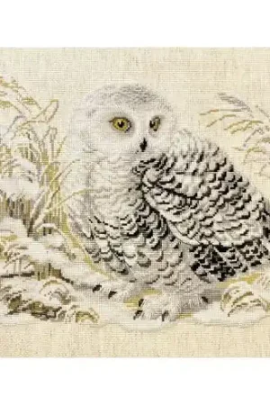 Nuova Collezione kit ricamo a punto croce - Civetta harfang - Riolis