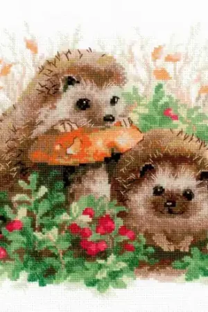 kit ricamo a punto croce - Rizziamo - Riolis Più Venduto