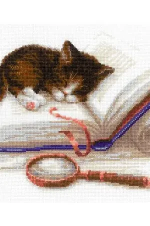 kit ricamo a punto croce - Gattino nel libro - Riolis Ordina Subito