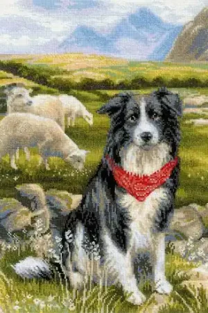 Bestseller kit ricamo a punto croce - Border collie - Riolis