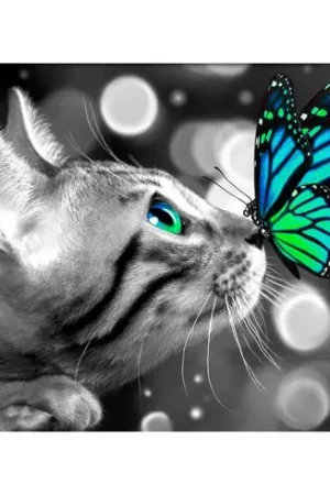 Economico Kit ricamo diamante - Gatto del Bengala e farfalla - Diamond Painting
