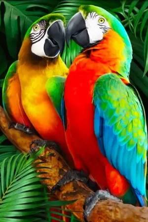 Consegna Rapida Kit ricamo diamante - Macao nella giungla - Diamond Painting