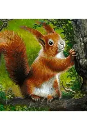 Kit ricamo diamante - Scoiattolo della foresta - Collection d'Art A Buon Prezzo