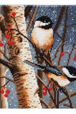 Acquista Ora Kit ricamo diamante su telaio - Cuscino da ricamare cincie - Crystal Art D.I.Y