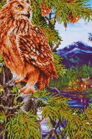 Promozione Esclusiva Kit ricamo diamante - La saggezza del crepuscolo - Diamond Dotz