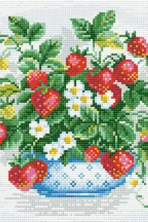Offerta Speciale Kit ricamo diamante - Cesto di fragole - Riolis