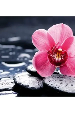 Kit ricamo diamante - Orchidee Vanda - Wizardi A Buon Prezzo