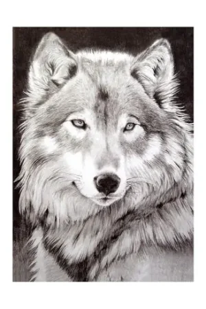 Kit ricamo diamante - Lupo grigio - Wizardi Scelto Dai Clienti