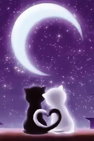 Kit ricamo diamante - Sotto la luna - Wizardi Offerta