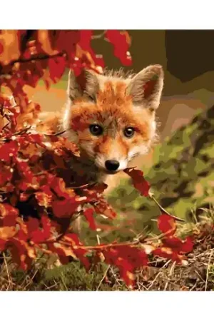 Kit di pittura per numero - Volpe astuta - Wizardi Offerta Lampo