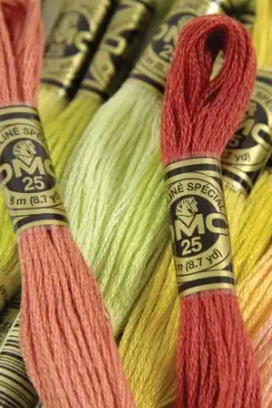 Filo per ricamo - Mouliné Spécial - Art.117 - DMC Prezzo Di Fabbrica