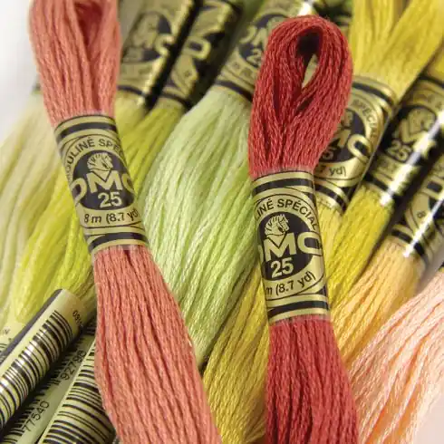 Filo per ricamo - Mouliné Spécial - Art.117 - DMC Prezzo Di Fabbrica