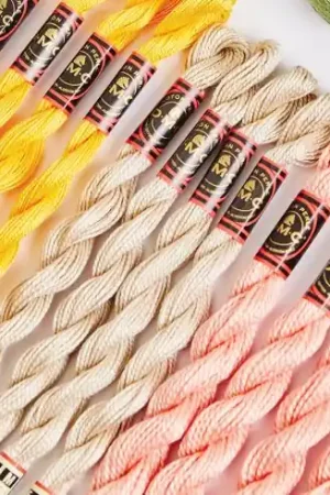 Più Venduto Filo per ricamo - N°5 Cotone Perlé - Art.115AR5 - DMC