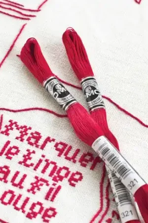 Pagamento Sicuro Filo per ricamo - Ricamo speciale n°20 - Art 10720 - DMC