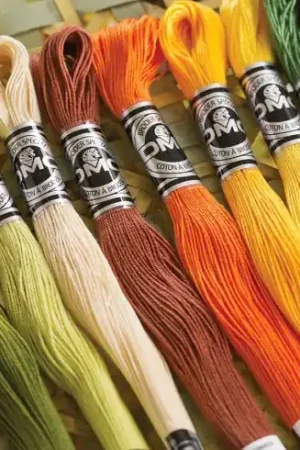 Filo per ricamo - Speciale ricamo n°25 - Art 10725 - DMC Miglior Prezzo