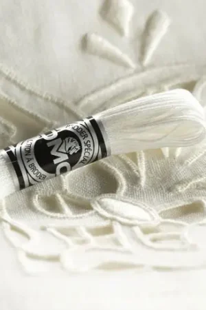 Soddisfatti O Rimborsati Filo per ricamo - Ricamo speciale n°30 - Art 10730 - DMC