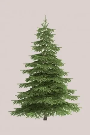 Tela da ricamo in tassello - Stoffa modello abete - 30 x 40 cm - Brod'star Scelto Dai Clienti