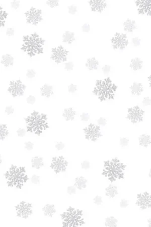 Tela da ricamo in tassello - Buono per le stelle della neve - 30 x 40 cm - Brod'star Occasione Imperdibile