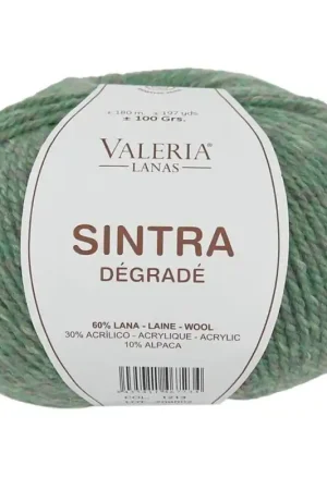 Professionale Valeria Sintra Dégradé