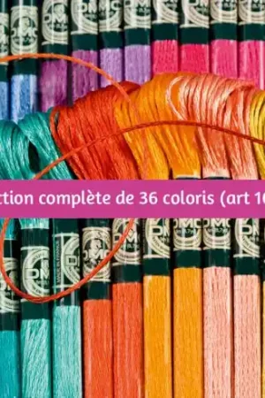 Soddisfatti O Rimborsati Filo per ricamo - Collezione completa Mouliné satin - Art 1008F - DMC