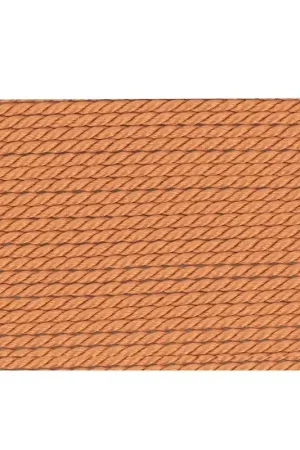 Fil de soie 1.05 mm Cornelian x2m Ultime Pezzi